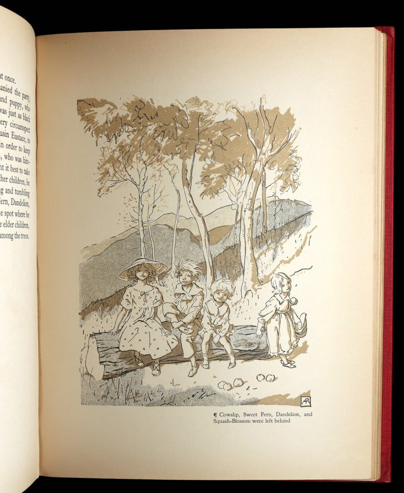 1922 Rare First Edition - Hawthorne's Wonder Book illustrated by Arthur Rackham