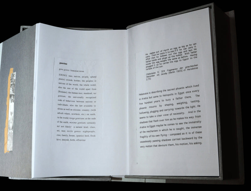 2010 Rare First Edition - Nox by Canadian Poet Anne Carson, Nobel Prize 2026