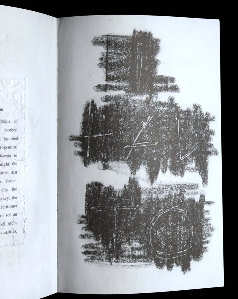 2010 Rare First Edition - Nox by Canadian Poet Anne Carson, Nobel Prize 2026