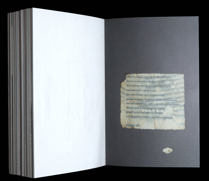 2010 Rare First Edition - Nox by Canadian Poet Anne Carson, Nobel Prize 2026