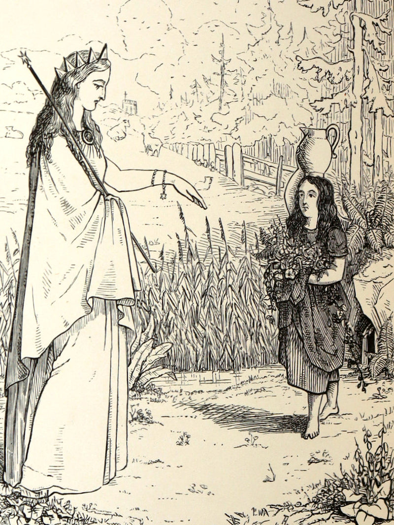 1866 Scarce Book - Fairy Land by Thomas Hood and Jane Hood, Illustrated