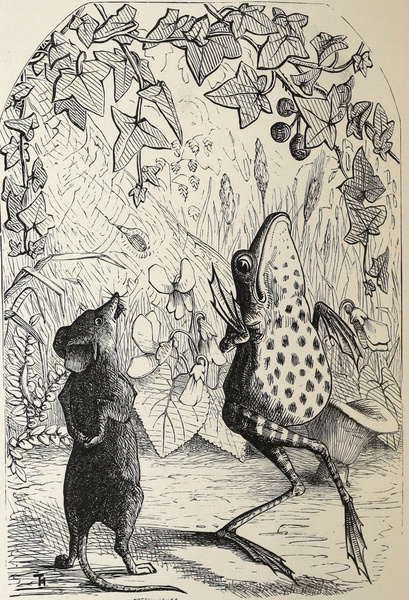 1866 Scarce Book - Fairy Land by Thomas Hood and Jane Hood, Illustrated