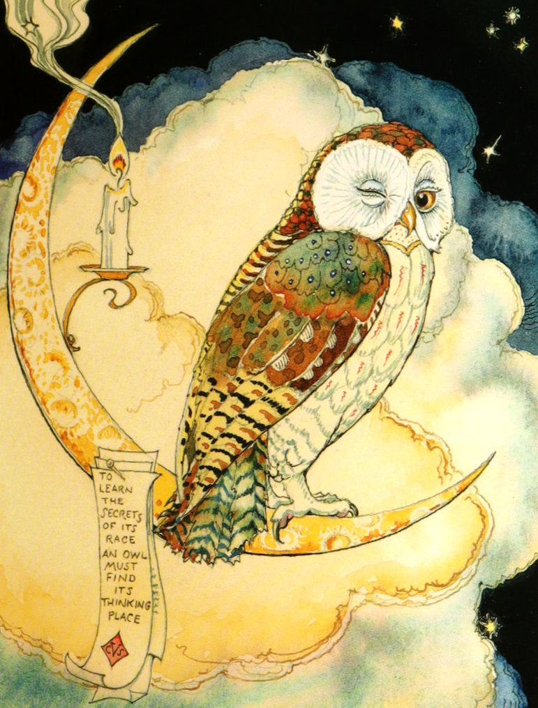2012 Rare Signed 1stED - Full Moon Eyes; Ode to Owls by Charles van Sandwyk
