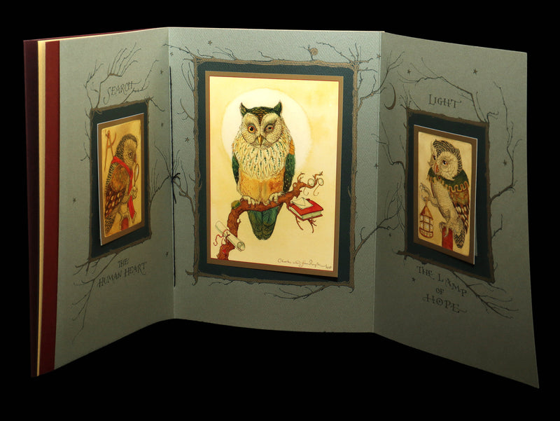 2012 Rare Signed 1stED - Full Moon Eyes; Ode to Owls by Charles van Sandwyk