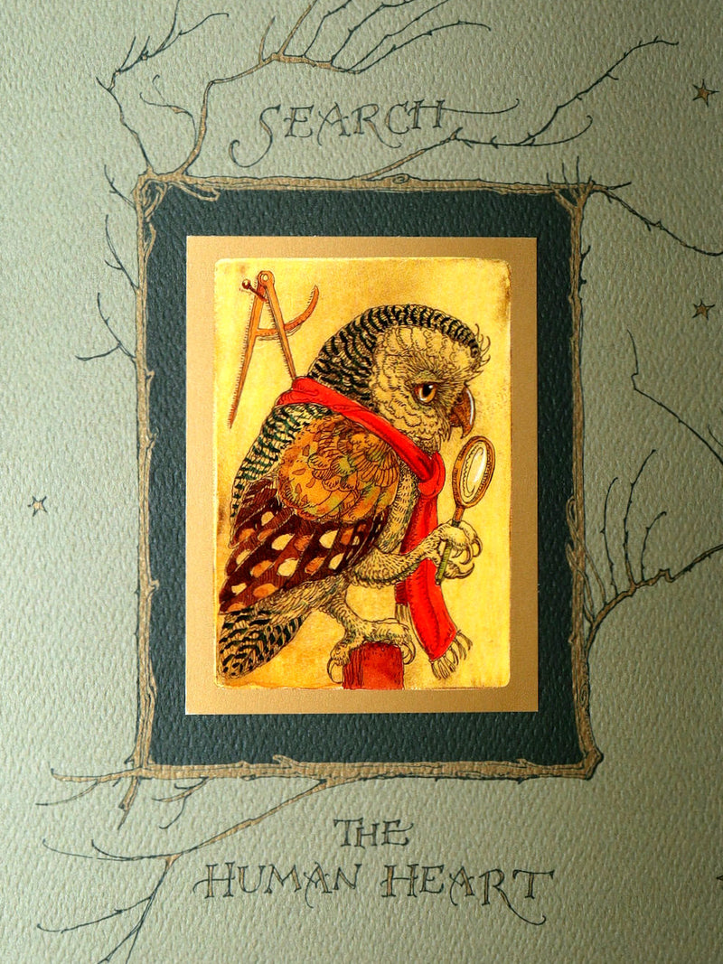 2012 Rare Signed 1stED - Full Moon Eyes; Ode to Owls by Charles van Sandwyk