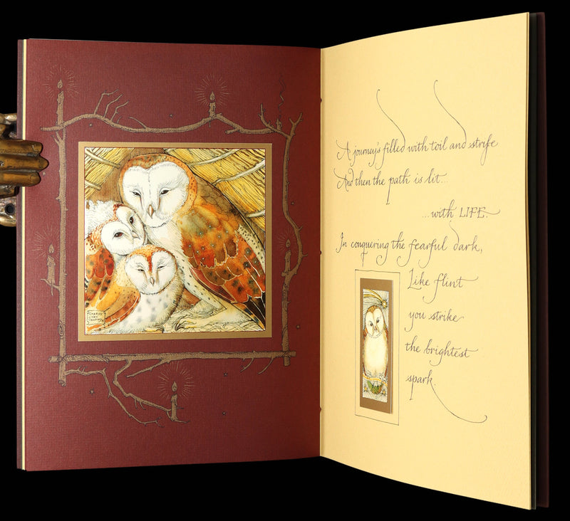 2012 Rare Signed 1stED - Full Moon Eyes; Ode to Owls by Charles van Sandwyk