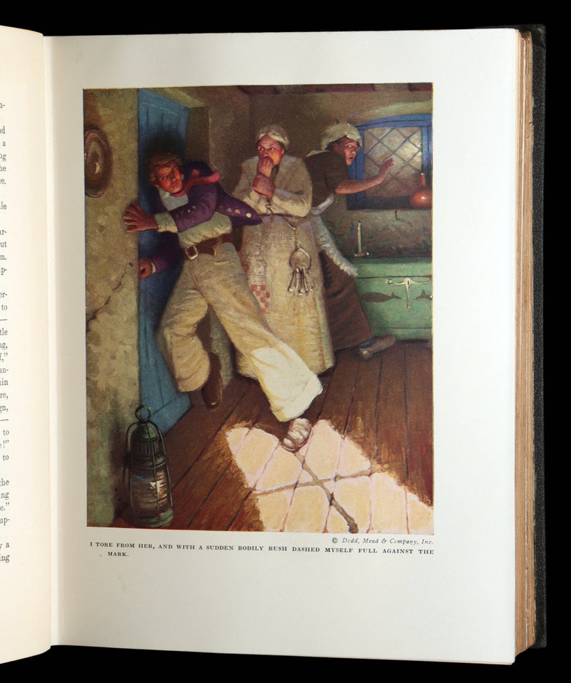 1923 Rare Book - Moby Dick or The White Whale illustrated by Mead Schaeffer