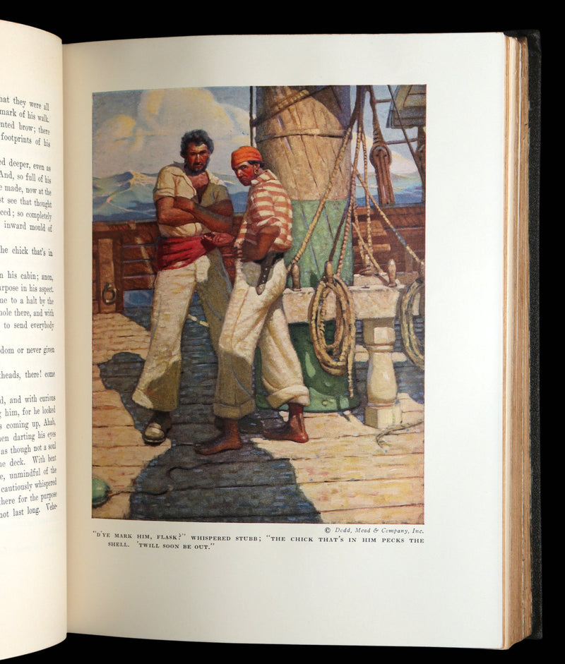 1923 Rare Book - Moby Dick or The White Whale illustrated by Mead Schaeffer