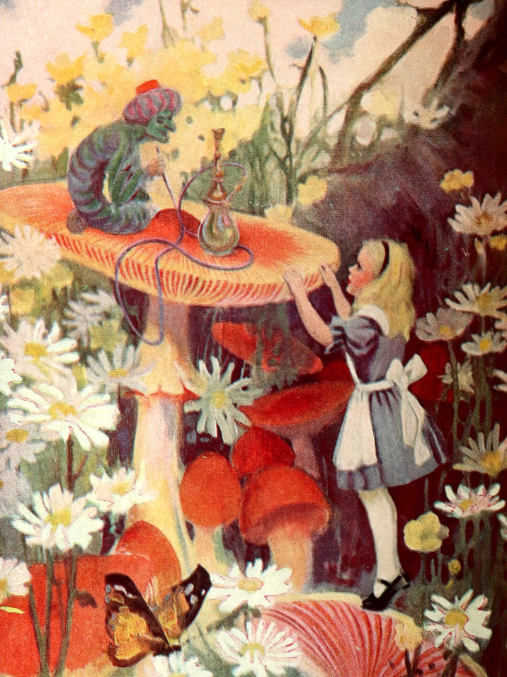 1923 First Edition illustrated by Edwin John Prittie - Alice in Wonderland