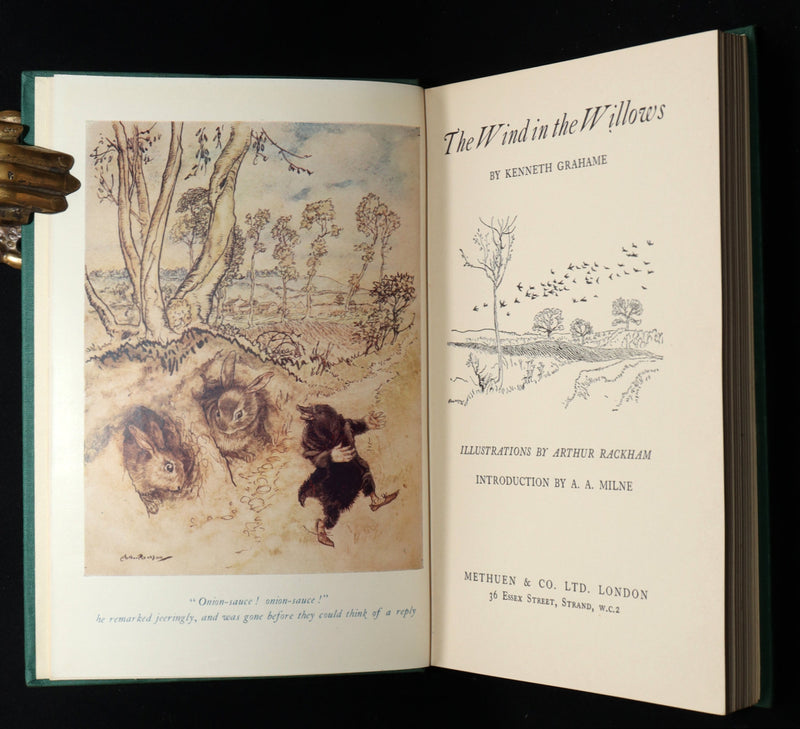 1950 First UK Arthur Rackham Illustrated Edition - The Wind in the Willows