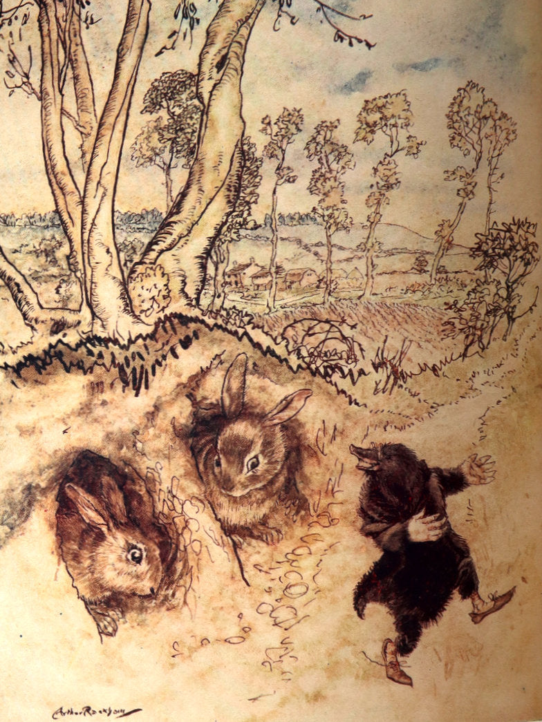 1950 First UK Arthur Rackham Illustrated Edition - The Wind in the Willows