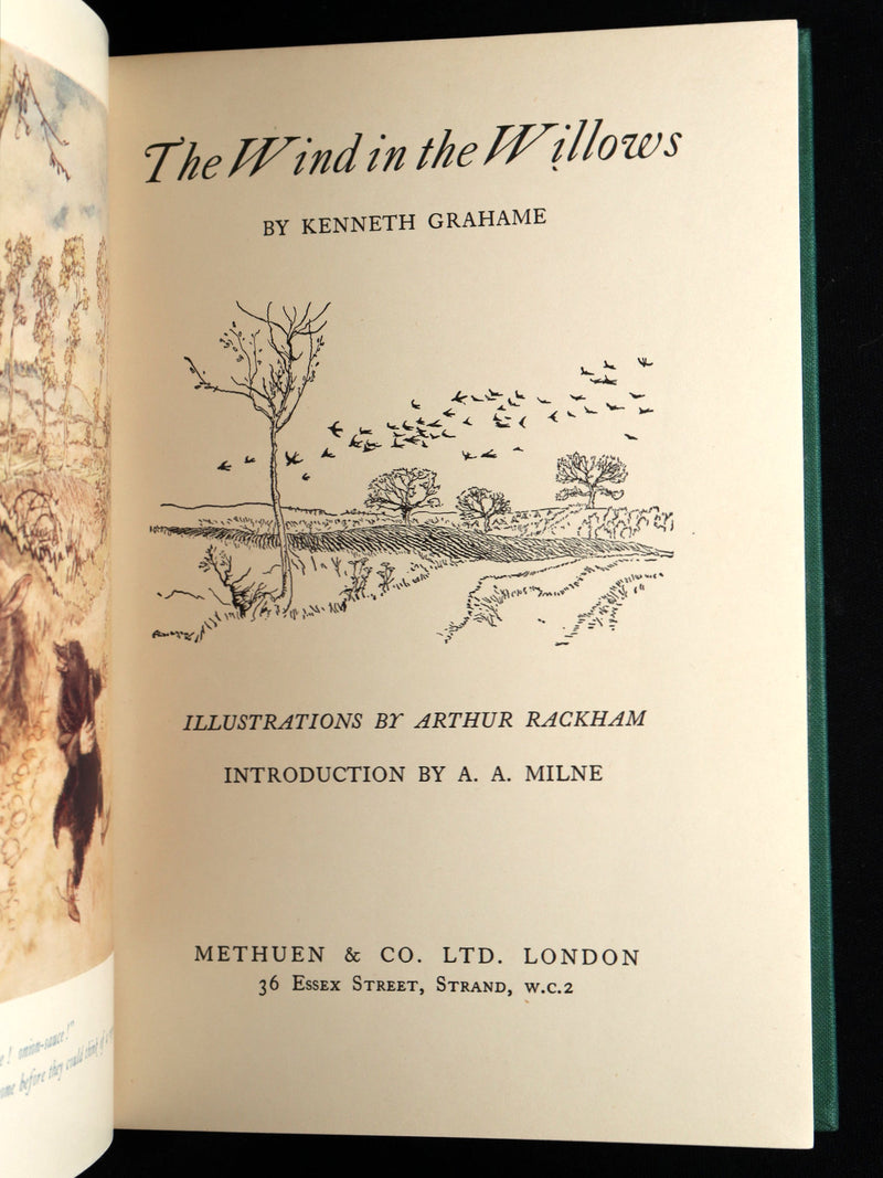 1950 First UK Arthur Rackham Illustrated Edition - The Wind in the Willows