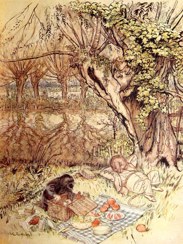 1950 First UK Arthur Rackham Illustrated Edition - The Wind in the Willows