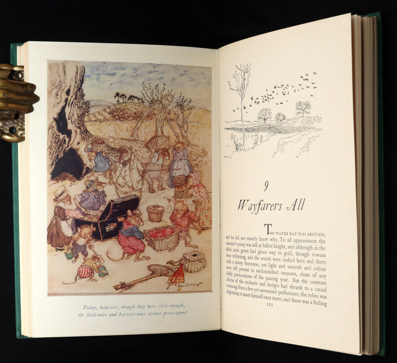1950 First UK Arthur Rackham Illustrated Edition - The Wind in the Willows
