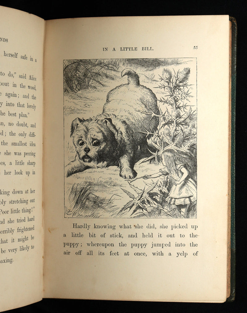 1872 Rare Early Edition - Alice's Adventures in Wonderland by Lewis Carroll