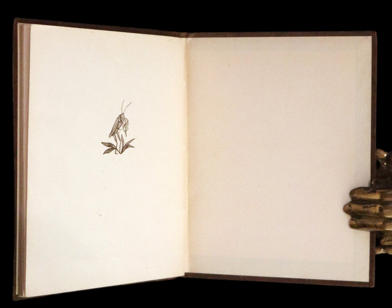 1936 Scarce First UK Edition - THE GNOME'S ALMANACK by Ida Bohatta translated by June Head.