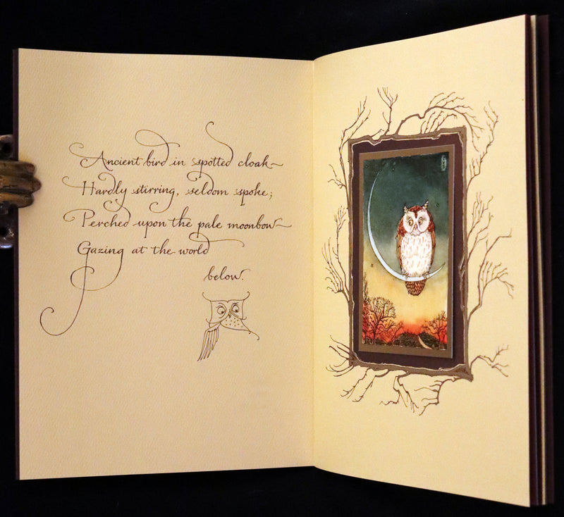 2012 Scarce Signed First Edition - Full Moon Eyes; An Ode to the Wisdom and Forbearance of Owls by Charles Van Sandwyk.