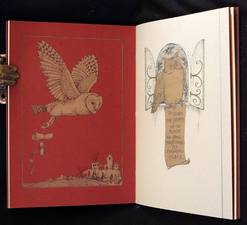 2012 Scarce Signed First Edition - Full Moon Eyes; An Ode to the Wisdom and Forbearance of Owls by Charles Van Sandwyk.