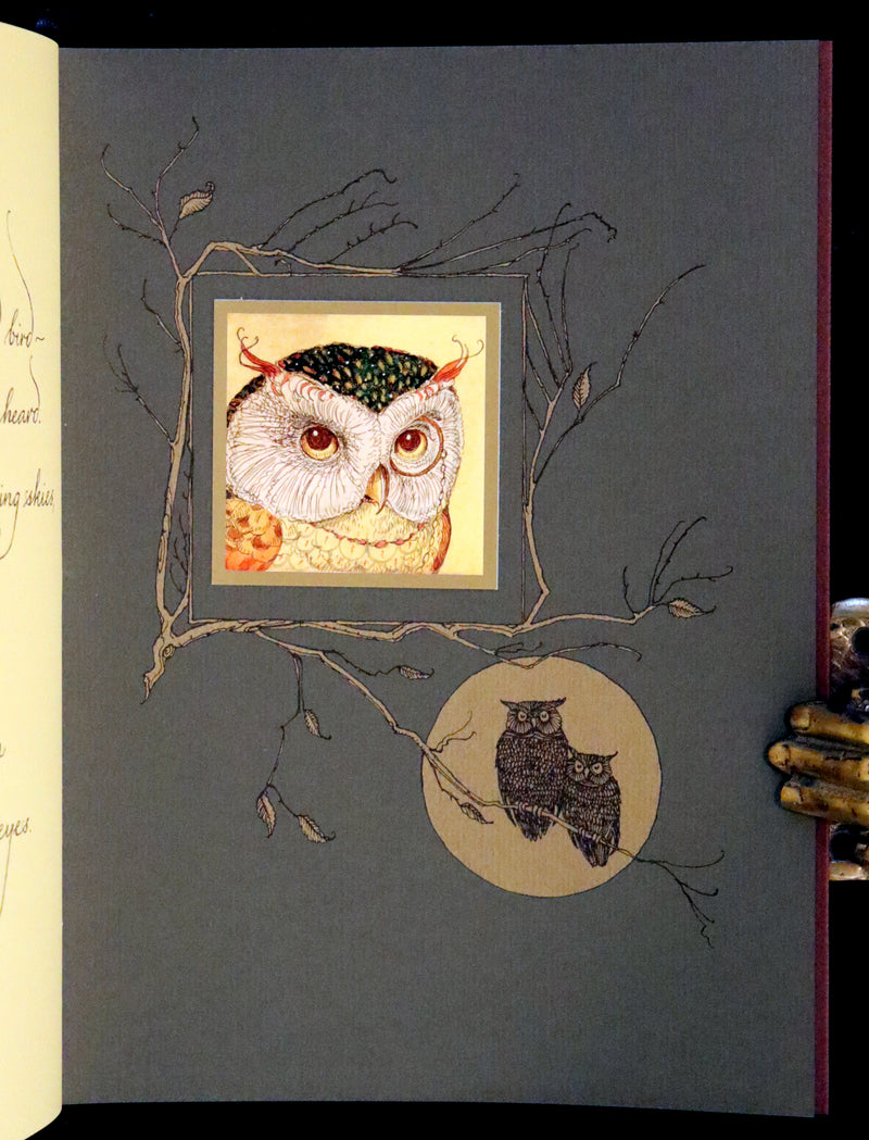 2012 Scarce Signed First Edition - Full Moon Eyes; An Ode to the Wisdom and Forbearance of Owls by Charles Van Sandwyk.