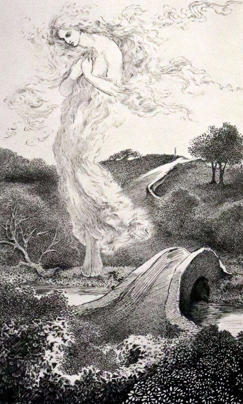 1900 Rare Book - At the Back of the North Wind by George MacDonald illustrated by Arthur Hughes.