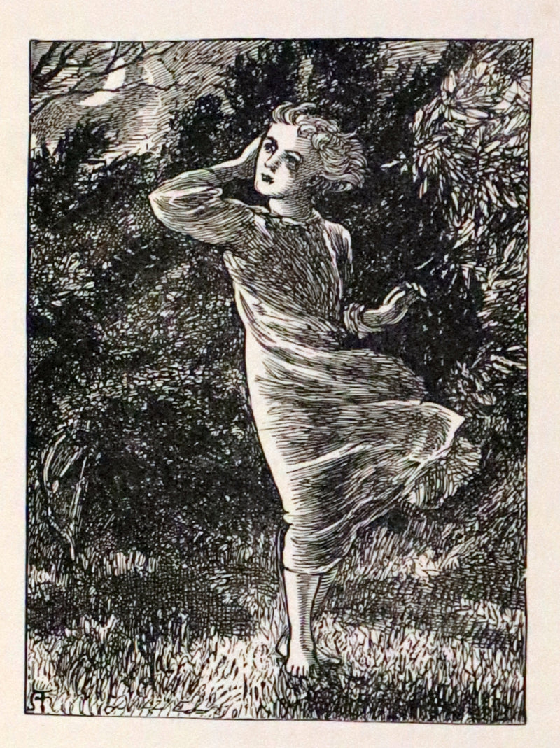 1900 Rare Book - At the Back of the North Wind by George MacDonald illustrated by Arthur Hughes.