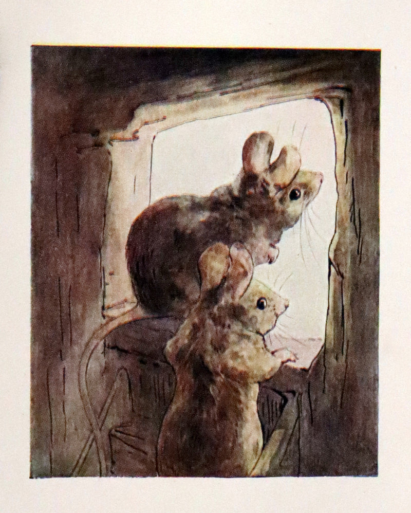 1910 Rare Book - The Tale of Two Bad Mice by Beatrix Potter