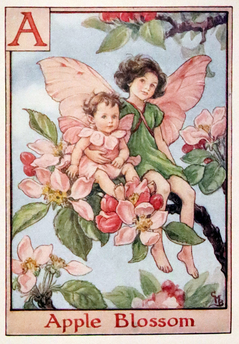 1955 Rare Book -  A Flower Fairy Alphabet (Flower Fairies) by Cicely Mary Barker.