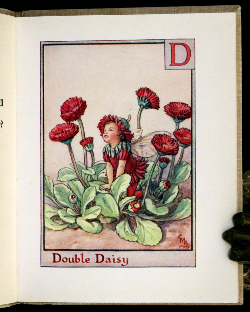 1955 Rare Book -  A Flower Fairy Alphabet (Flower Fairies) by Cicely Mary Barker.