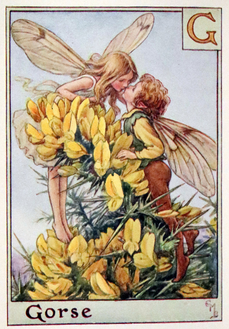 1955 Rare Book -  A Flower Fairy Alphabet (Flower Fairies) by Cicely Mary Barker.