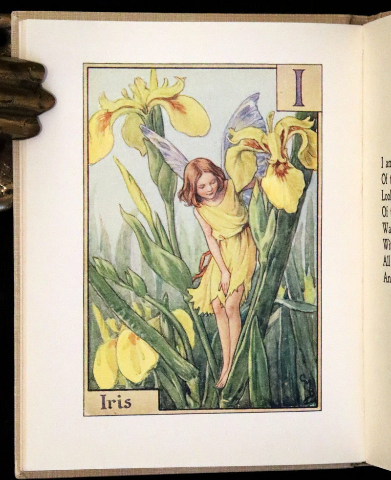 1955 Rare Book -  A Flower Fairy Alphabet (Flower Fairies) by Cicely Mary Barker.