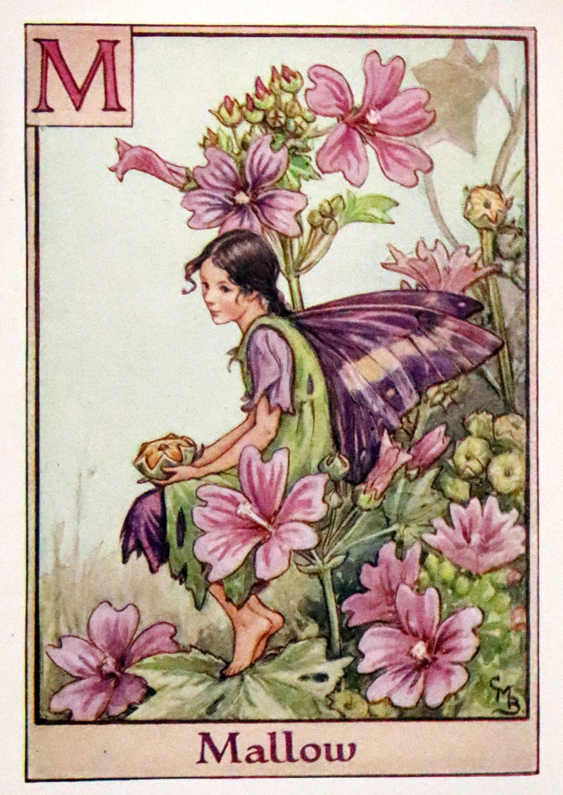 1955 Rare Book -  A Flower Fairy Alphabet (Flower Fairies) by Cicely Mary Barker.