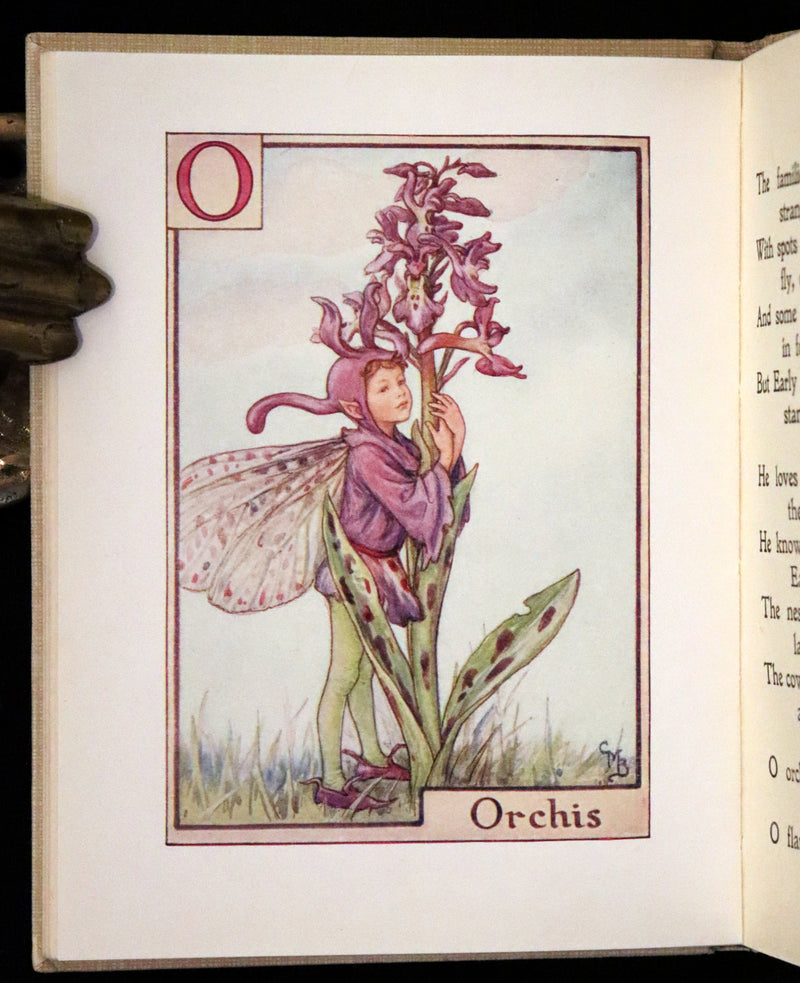 1955 Rare Book -  A Flower Fairy Alphabet (Flower Fairies) by Cicely Mary Barker.