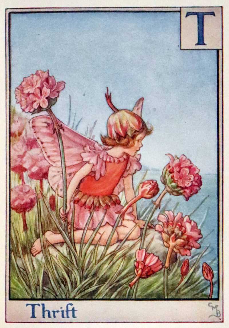 1955 Rare Book -  A Flower Fairy Alphabet (Flower Fairies) by Cicely Mary Barker.