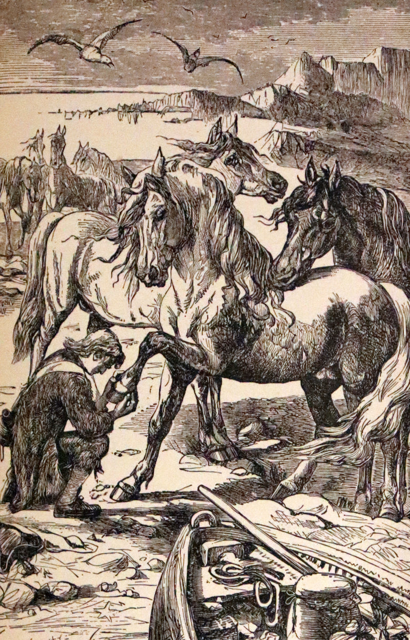 1880 Rare Book - Gulliver's Travels Into Several Remote Nations of the World & Baron Munchausen, Illustrated.