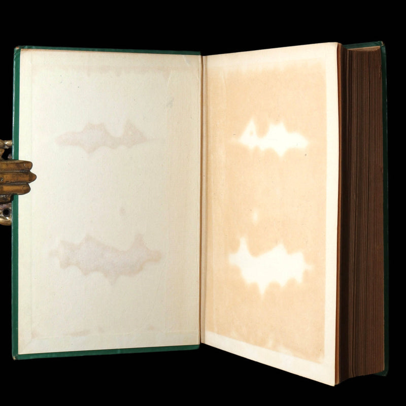 1891 Rare Victorian Edition - The Popular Tales of Edgar Allan Poe