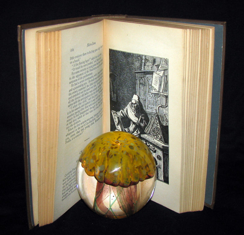 1890 Rare Victorian Book - Notre-Dame or The Bellringer of Paris by Victor Hugo. Gothic.