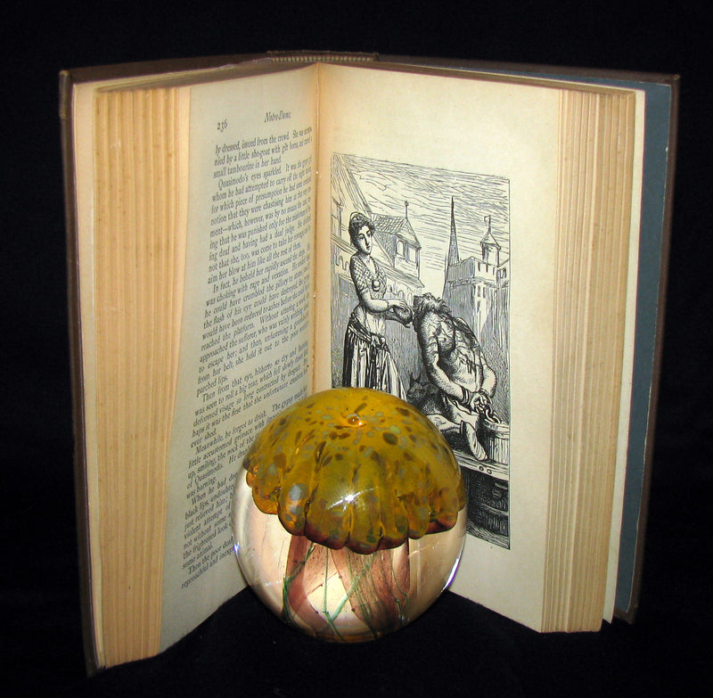 1890 Rare Victorian Book - Notre-Dame or The Bellringer of Paris by Victor Hugo. Gothic.