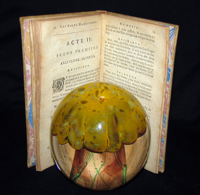 1689 Rare French Vellum Book - Magnificent Lovers - Les Amans Magnifiques by MOLIERE