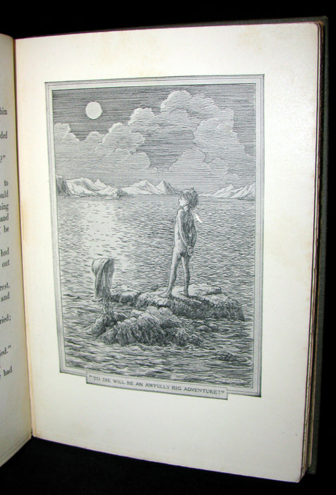 1911 Rare Book  - Peter Pan First Edition - Peter and Wendy by James Matthew Barrie