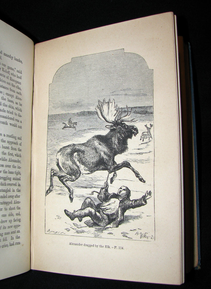 1880 Rare Victorian Book ~ The Young Exiles or The Wild Tribes of the North by Anne Bowman