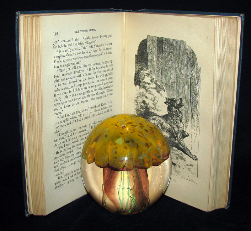 1880 Rare Victorian Book ~ The Young Exiles or The Wild Tribes of the North by Anne Bowman