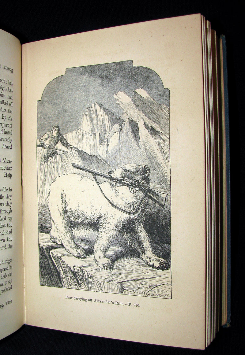 1880 Rare Victorian Book ~ The Young Exiles or The Wild Tribes of the North by Anne Bowman