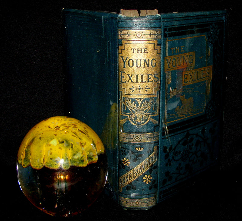 1880 Rare Victorian Book ~ The Young Exiles or The Wild Tribes of the North by Anne Bowman
