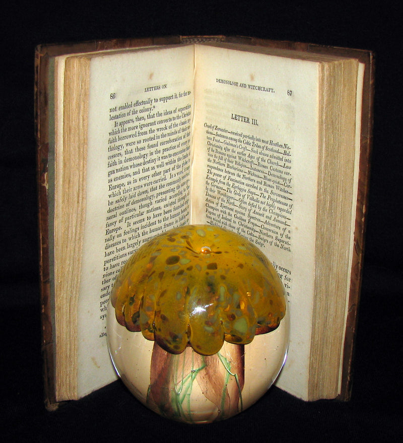 1830 1stED Walter Scott - Letters on Demonology & Witchcraft - WITCHES & FAIRIES