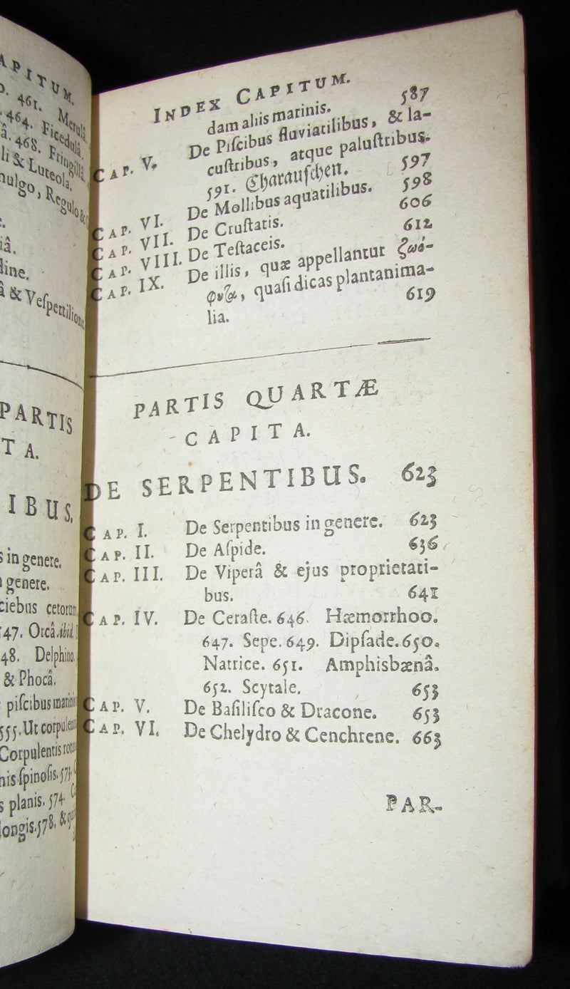 1665 Rare Latin Book - Unicorn, Griffin, Dragon, Basilisk - Franz's HISTORIA ANIMALIUM