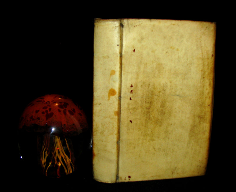 1690 Rare French Vellum Book - Memories of the minority of Louis XIV the Sun King (Roi Soleil)