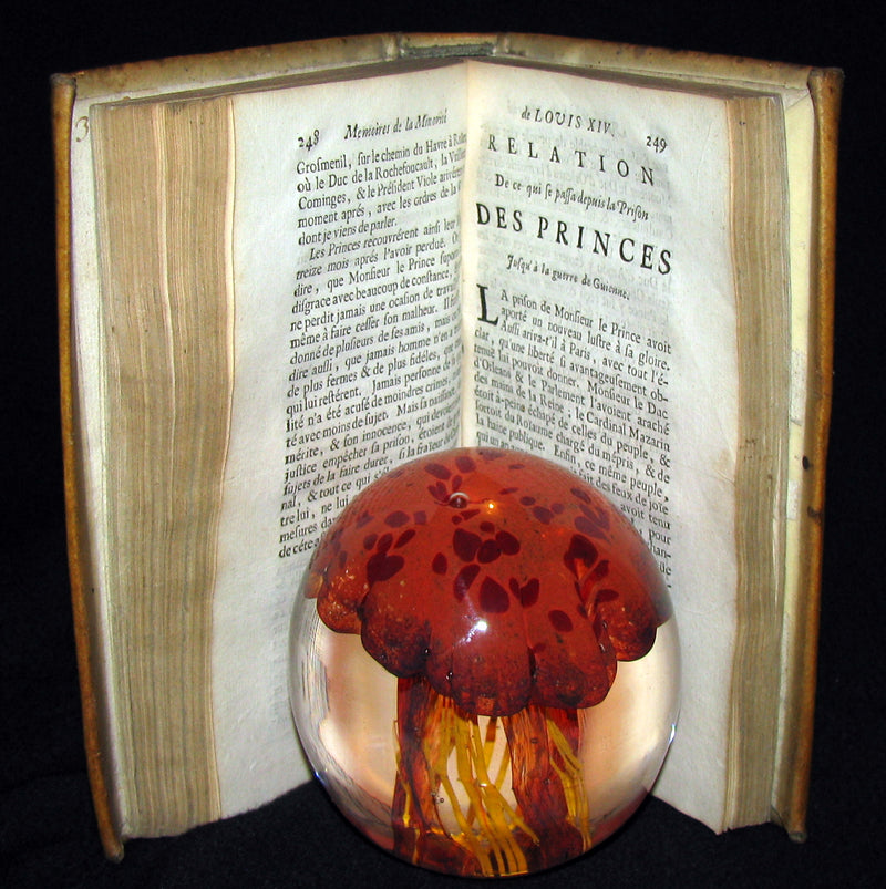 1690 Rare French Vellum Book - Memories of the minority of Louis XIV the Sun King (Roi Soleil)