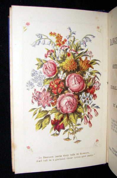 1868 Scarce Book ~ The Lover's Language of Flowers