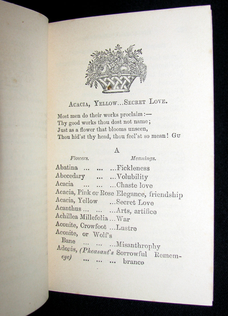 1868 Scarce Book ~ The Lover's Language of Flowers