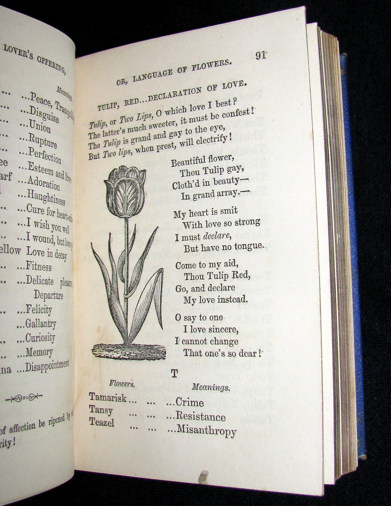 1868 Scarce Book ~ The Lover's Language of Flowers